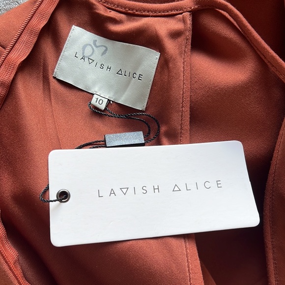 NWOT Lavish Alice Brown High Neck Cropped Bodycon Midi Dress (US 6) - Picture 7 of 11